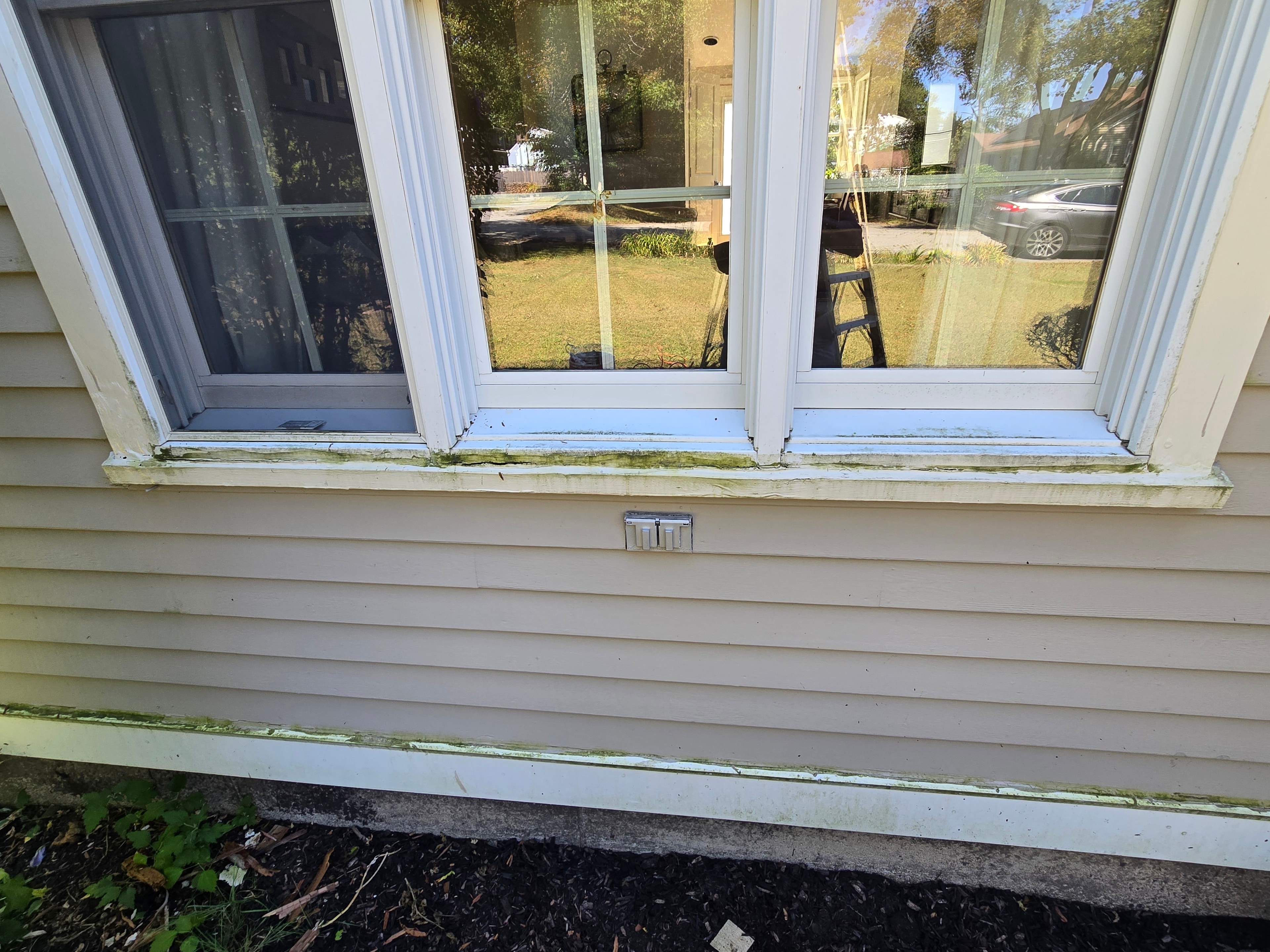 Before: green algae on window and base trim